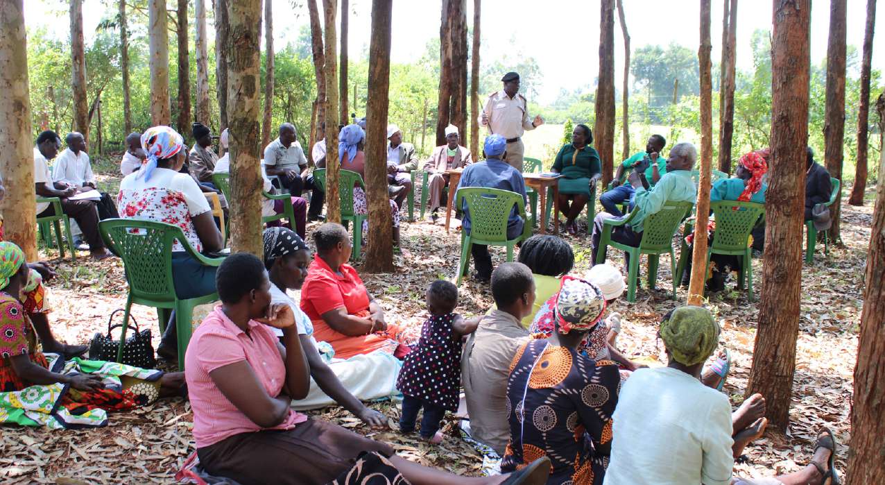 Community development