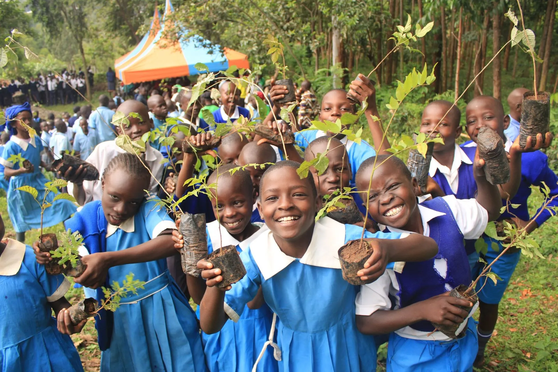 CREATS International