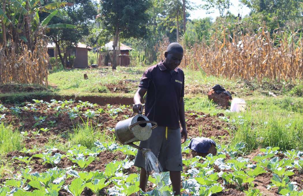 Sustainable development